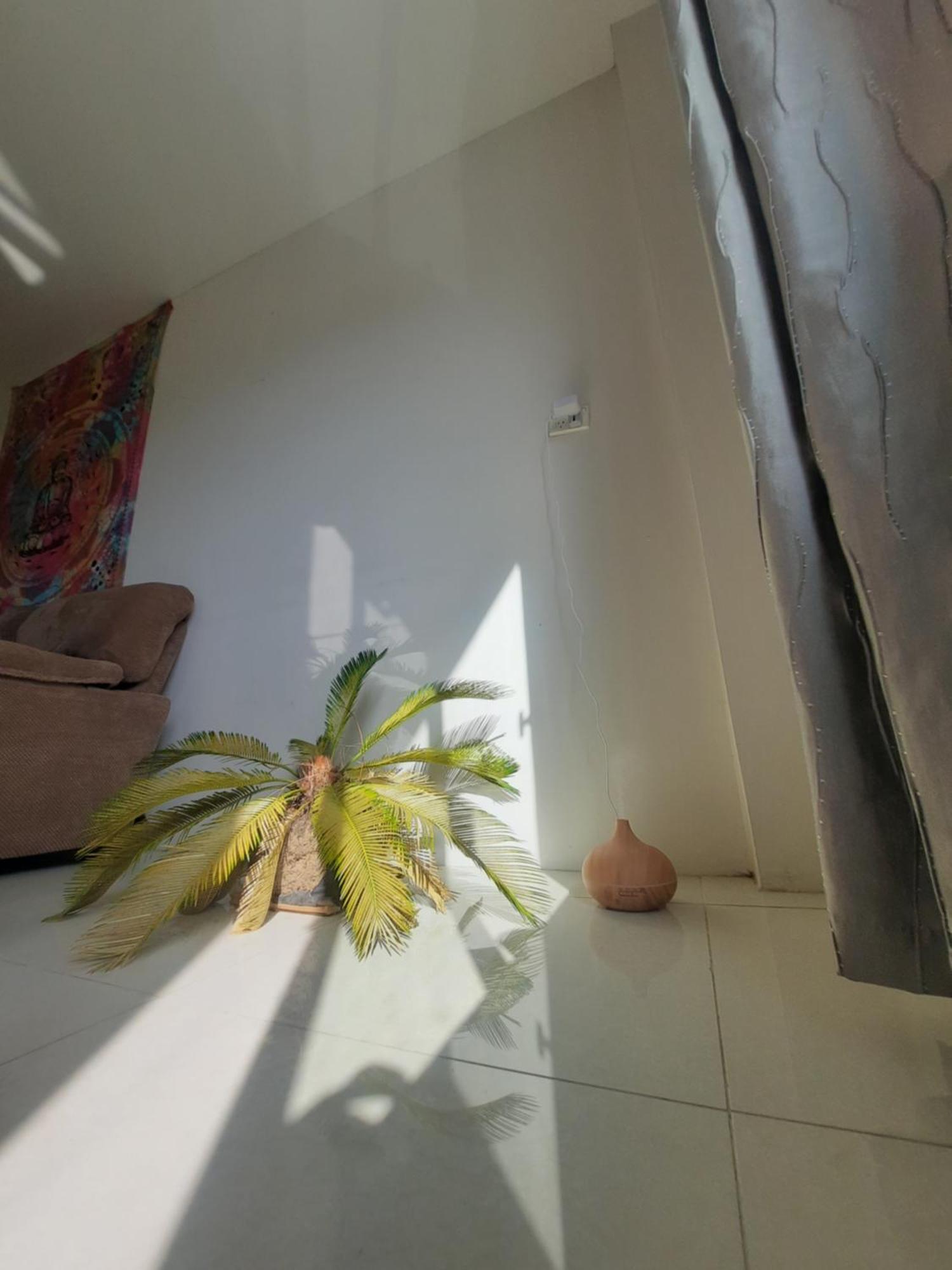 Apartamento Bula Bliss With Sunset View Nadi Exterior foto